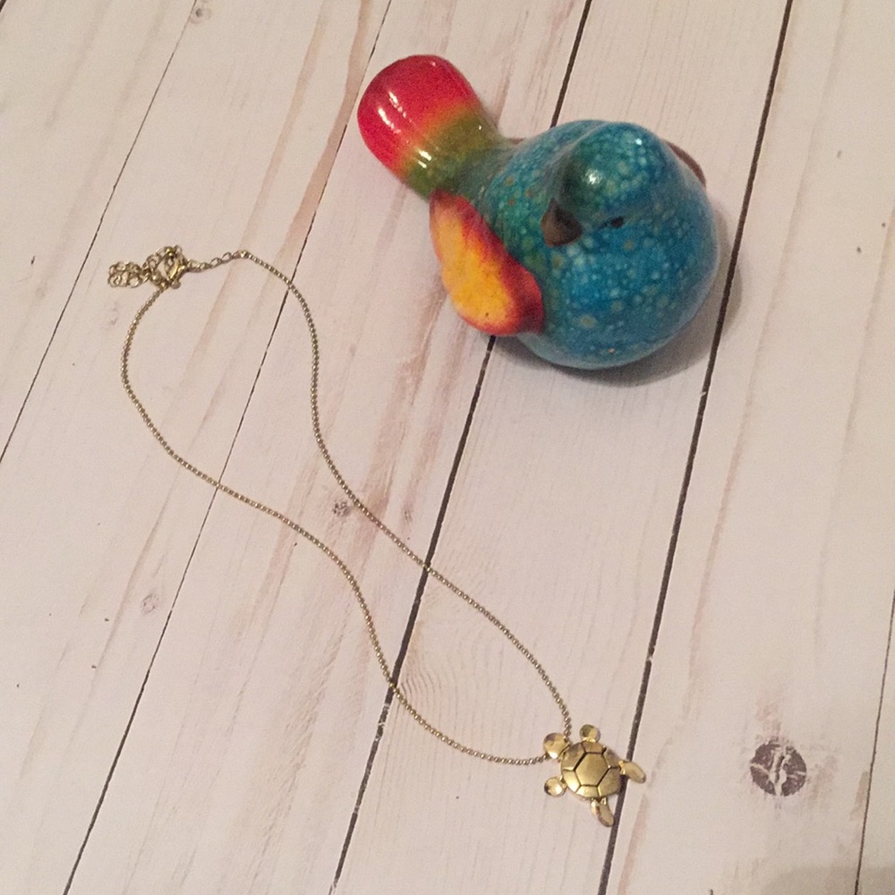 Gold tone turtle necklace 🎉